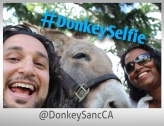 The Donkey Sanctuary of Canada in Guelph - Lets Discover ON Travel Blog - DonkeySelfie