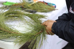 ON-Nature-Scots-Pine-Wreath---making-christmas-wreath---Lets-Discover-ON