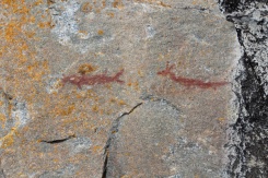 Sault-Ste-Marie-Agawa-Rock-Pictographs-Lets-Discover-ON-2